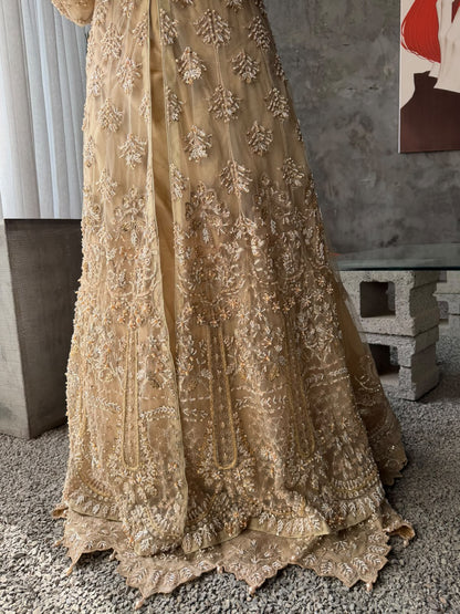 Golden Elegance Peshwas