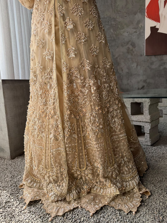 Golden Elegance Peshwas